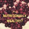 Being (nutritionally) wealthy